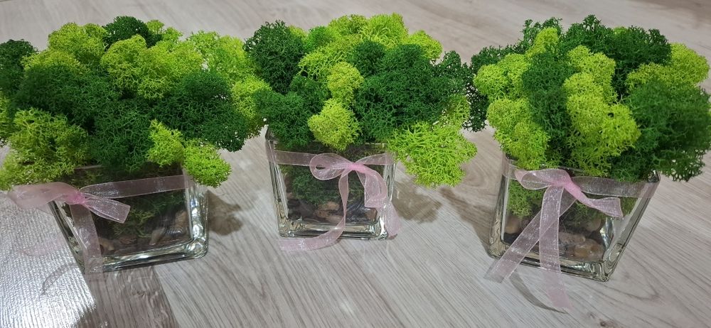 Дървени и стъклени кашпи със скандинавски мъх и цветя