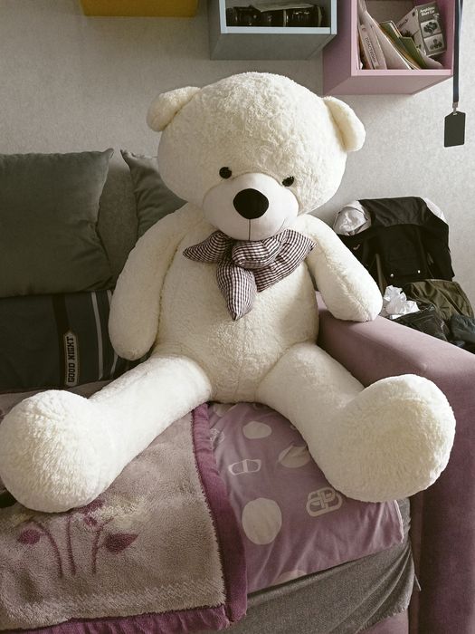 Белый медвежонок