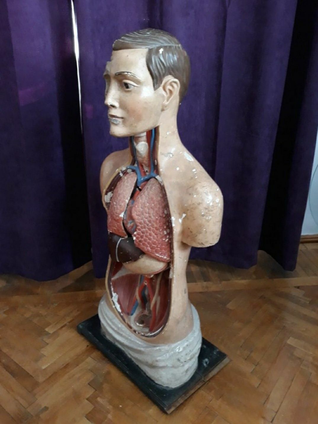 Bust anatomic vechi, de la începutul secolului trecut
