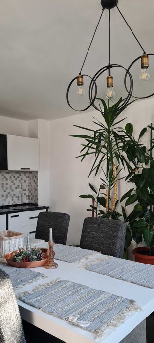 Casa /Cabana De Inchiriat cu Ciubar si Jacuzzi Cuvin