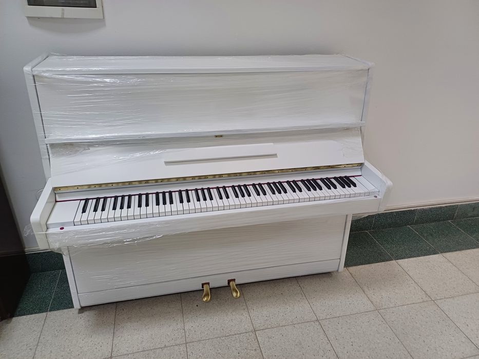 Yangi belarus oq rangda