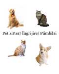 Pet sitter Cluj-Napoca