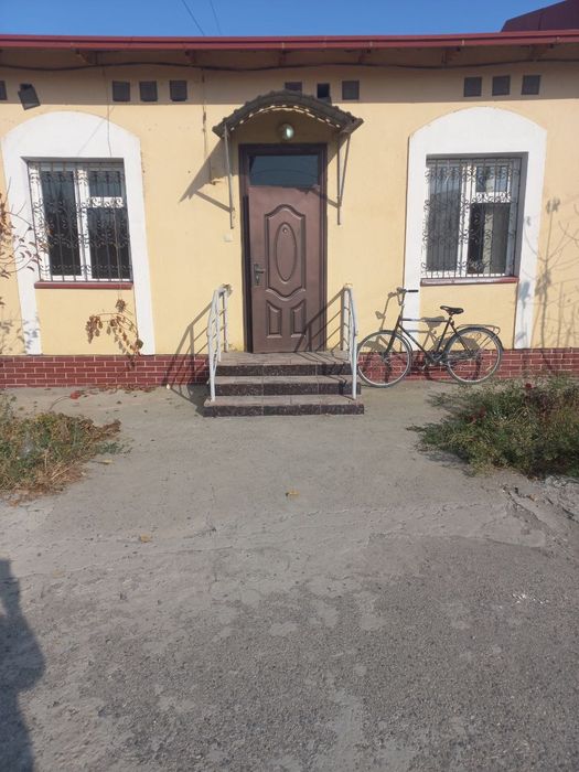 Kotej sotiladi savxo'z yo'lni yuzida