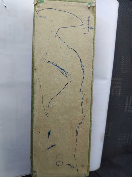 Muzicuta Hohner originala