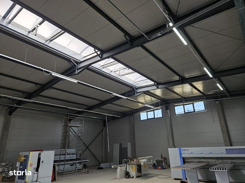 Pantelimon DN3 hala 600 mp