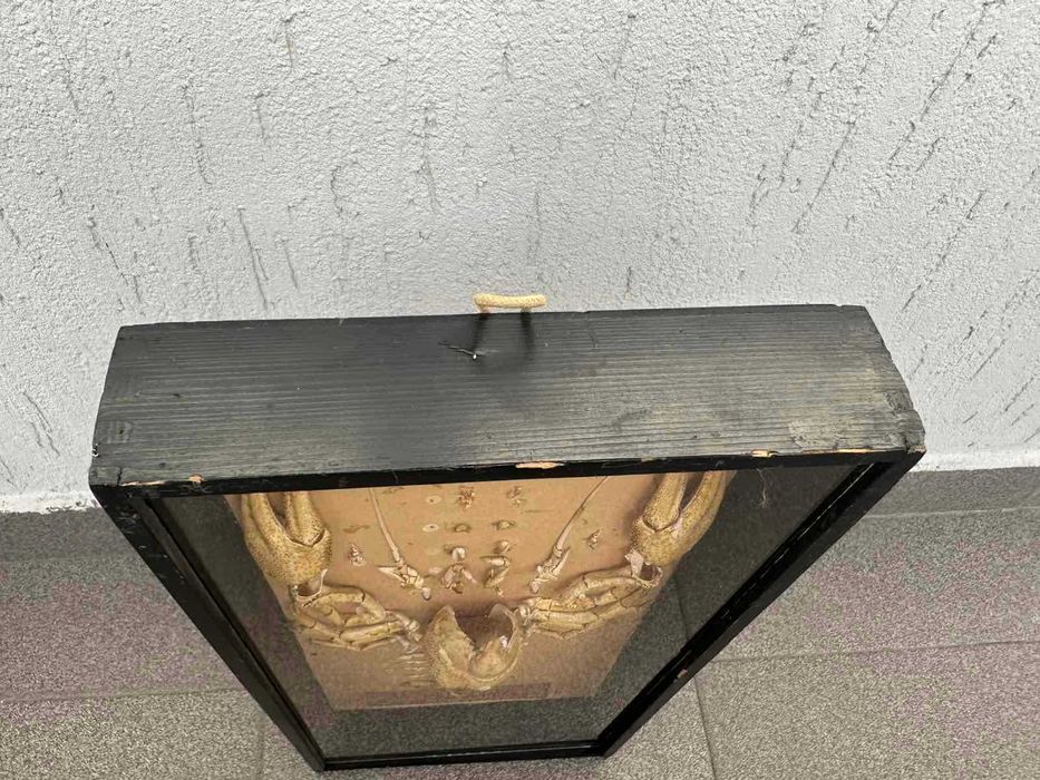 Соц Учебен Модел на Рак Разчленен Учтехпром