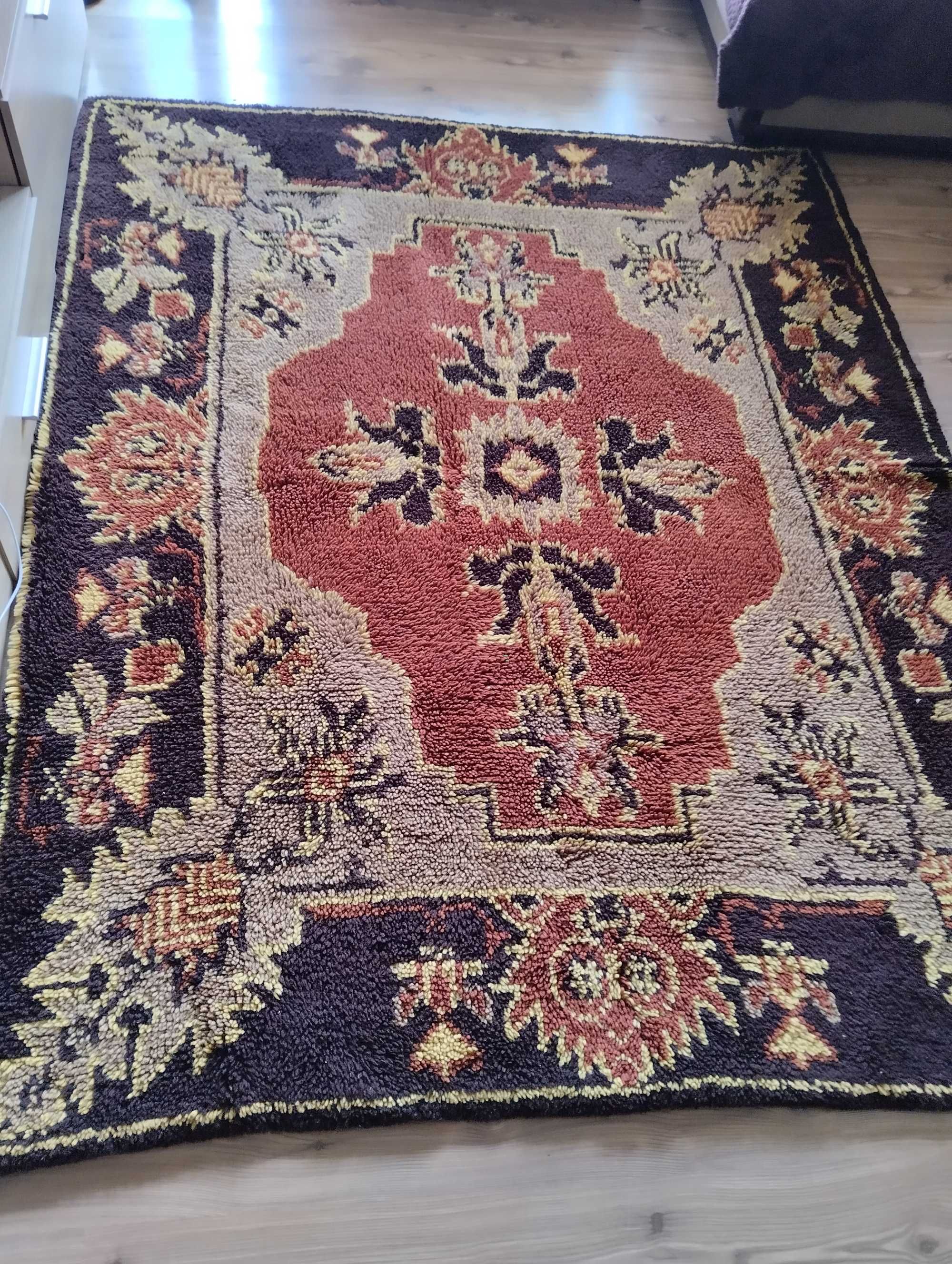 Китеницитеса нови