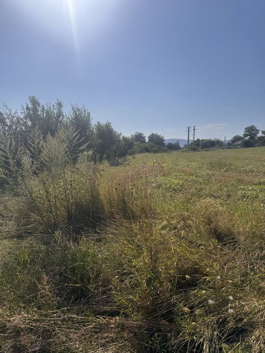 Teren Turturesti