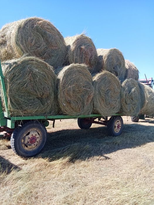 Baloți de fîn ..