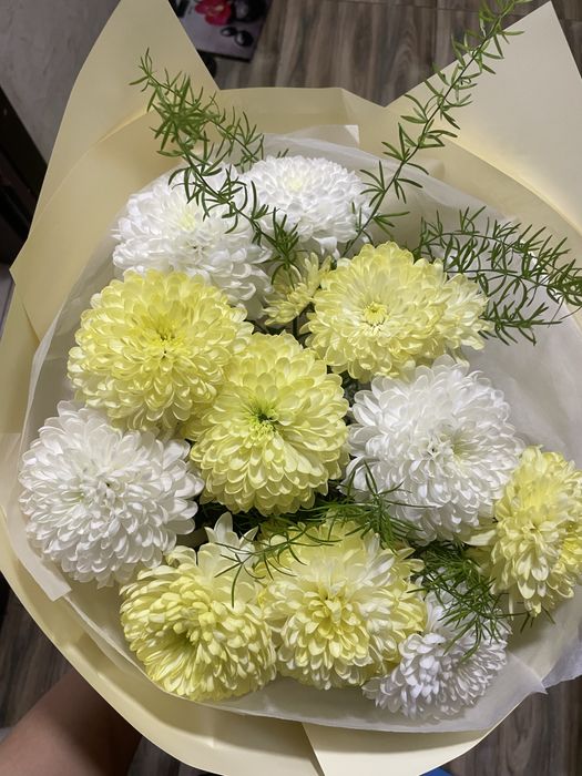 Цветы хризантемы только что получила