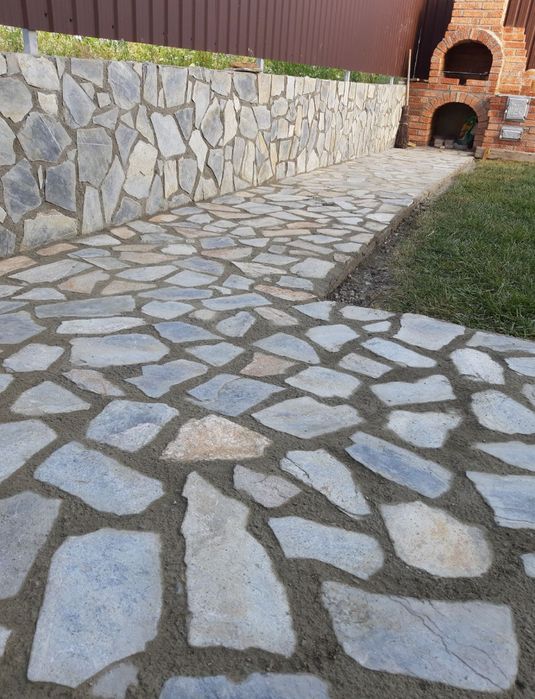 Tuia Smarald / Chiparos Leylandii !!