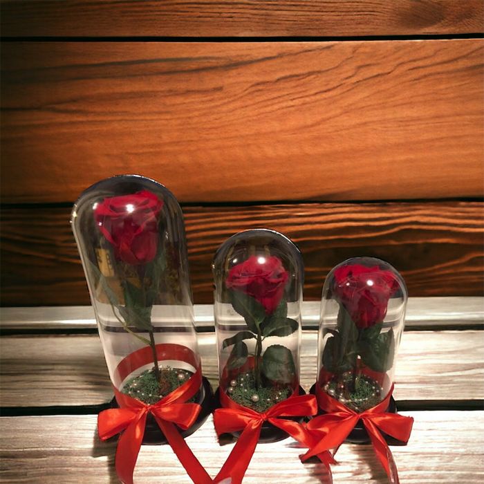 Cadou criogenat in cupola de sticla