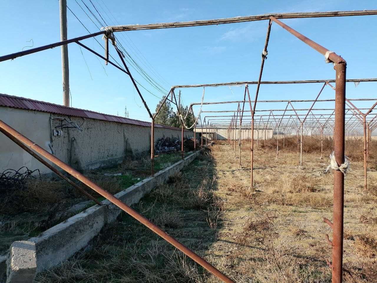 Navoiy viloyati, Karmana tumanida Issiqxona binosi sotiladi.