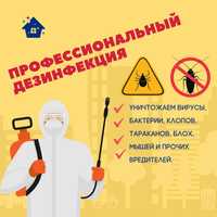 Дезинфекция   Дезинфекция