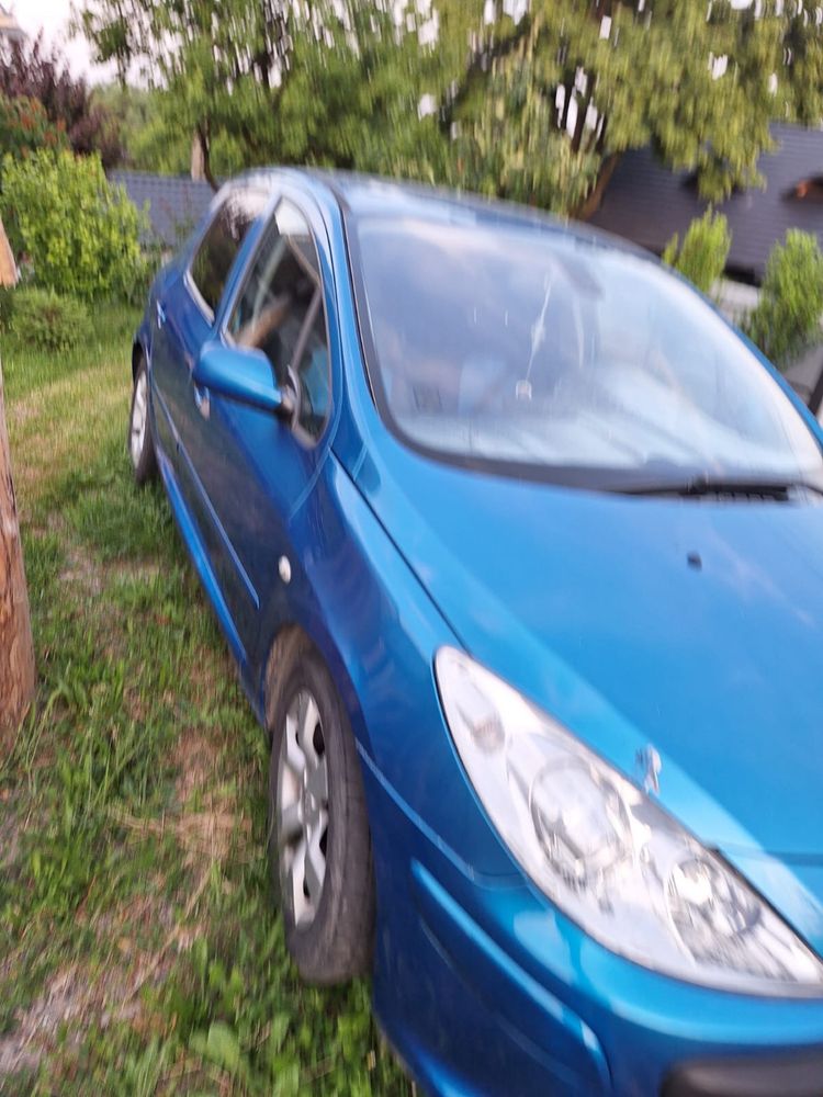 Vand Peugeot 307