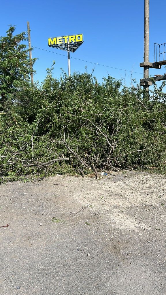 Defrișări/Curățare Terenuri/Tuns Iarbă/La cel Mai bun Preț Posibil.