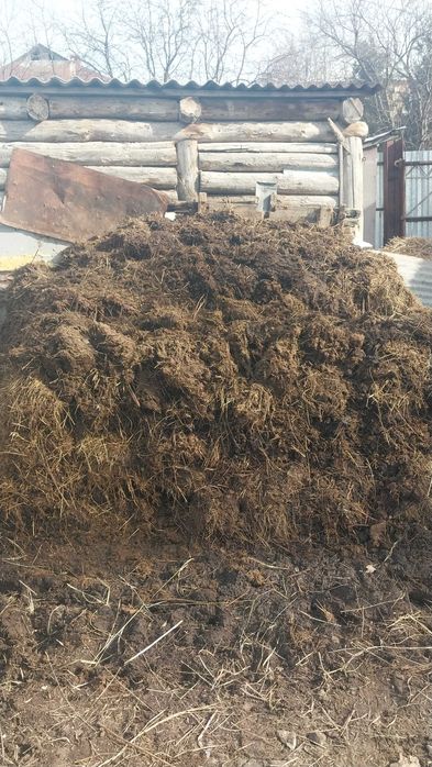 Отдам бесплатно навоз