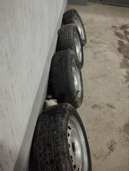 Приора диска балон