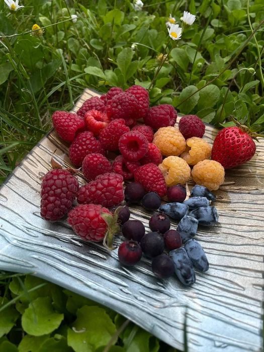 Sirop fructe (zmeura+ mure)