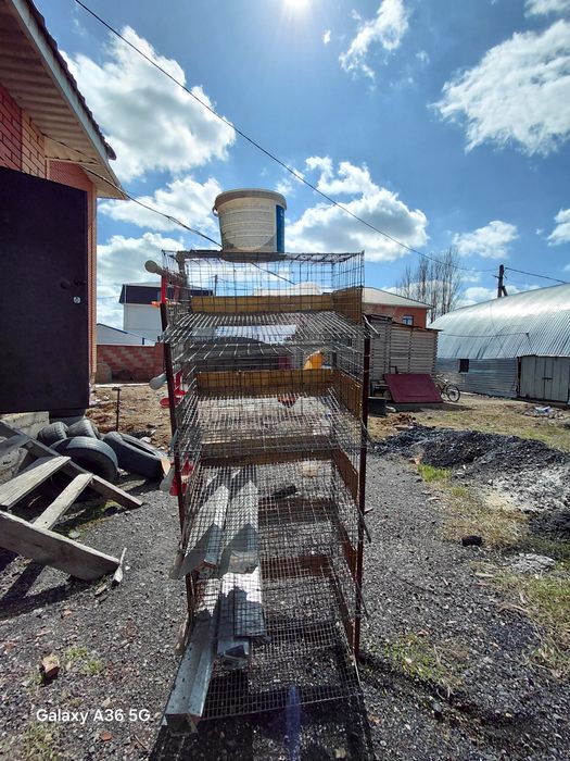 Клетки для перепелетов