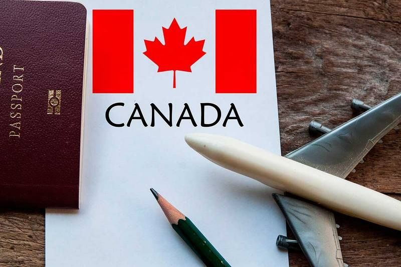 Visa xizmatlari. USA, Canada va Shengen davlatlari uchun.