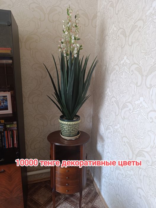 Декоративные цветы