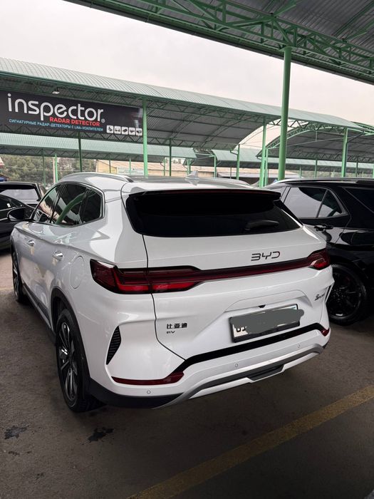 Champion restyle 605km