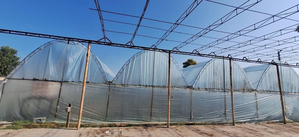 Продаётся просторный дом с теплицей и участком для хозяйства!