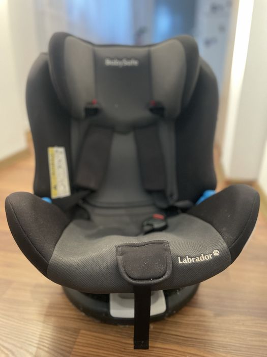 Scaun auto pentru copii labrador
