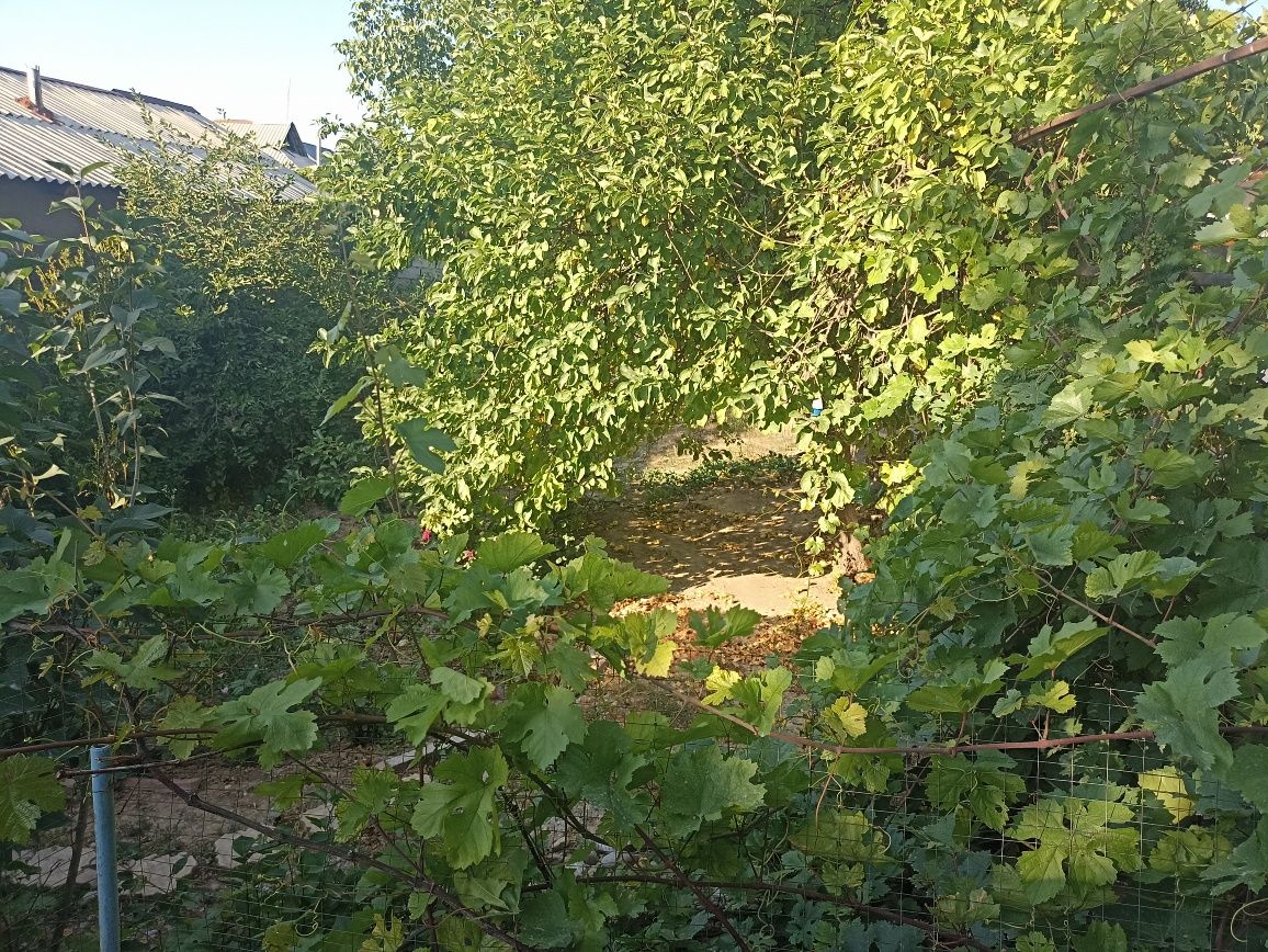 Продается дом , үй сатылады