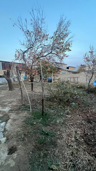 Тошкент тумани Абдурахмоновда.2.4.суток ер сурочно сотиладт.