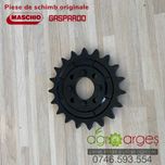 Pinion z19 Gaspardo