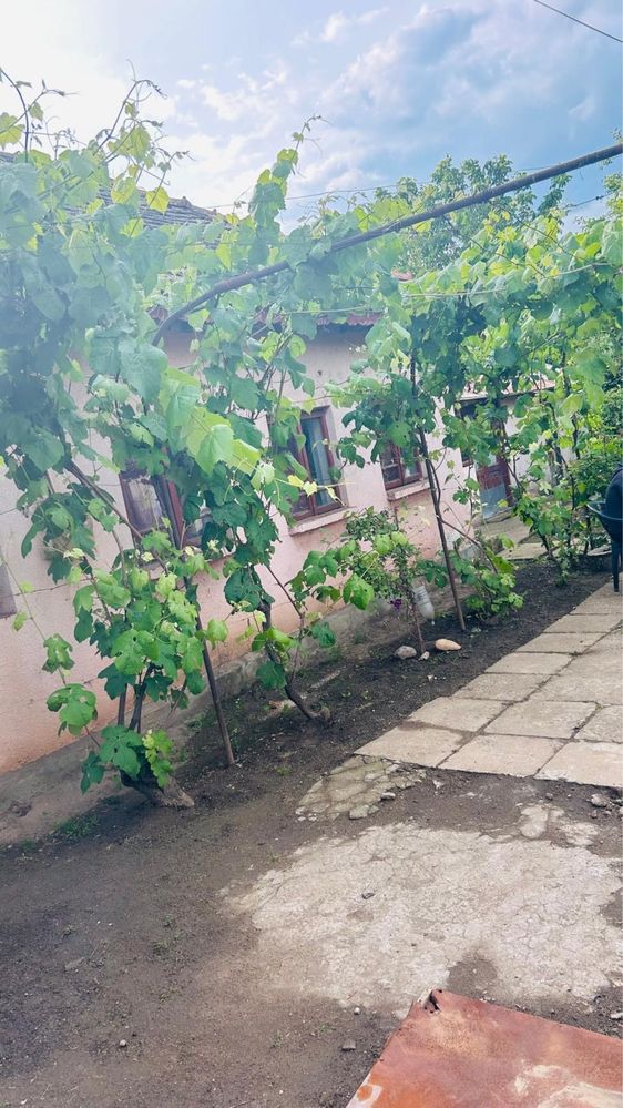 Casa de vanzare. Bailesti Dolj