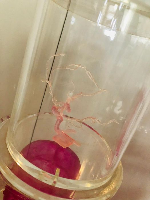 Super aet medical 3D organe craniu in cutii acryl plexiglasss