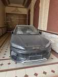 BYD chempion Full Smart Natarus tayor