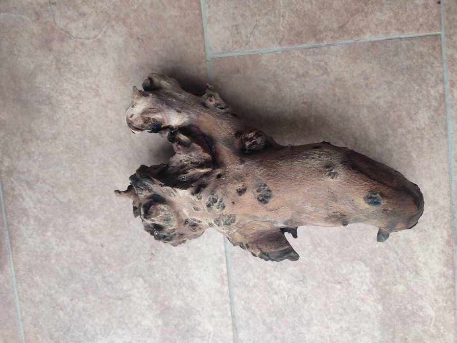 Vand radacini si pietre pentru acvariu - calitatea I. gata fierte