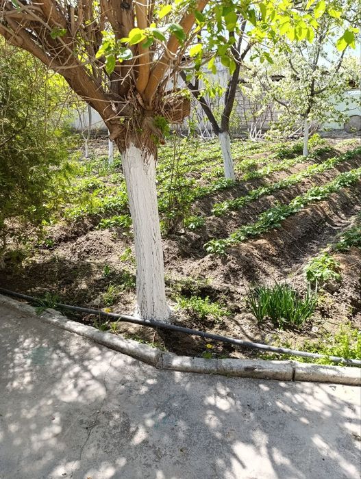 Продаю дом.в старом городе