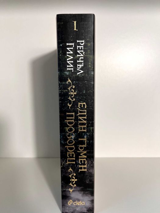 Един тъмен прозорец - Рейчъл Гилиг