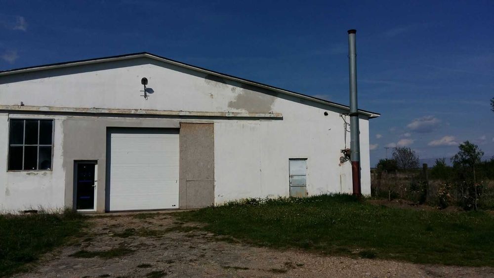 Hale in Fibis pret 1.6 eur/mp