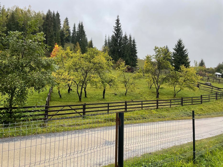 Teren de vanzare in zona de munte