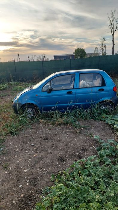 Piese matiz  damas
