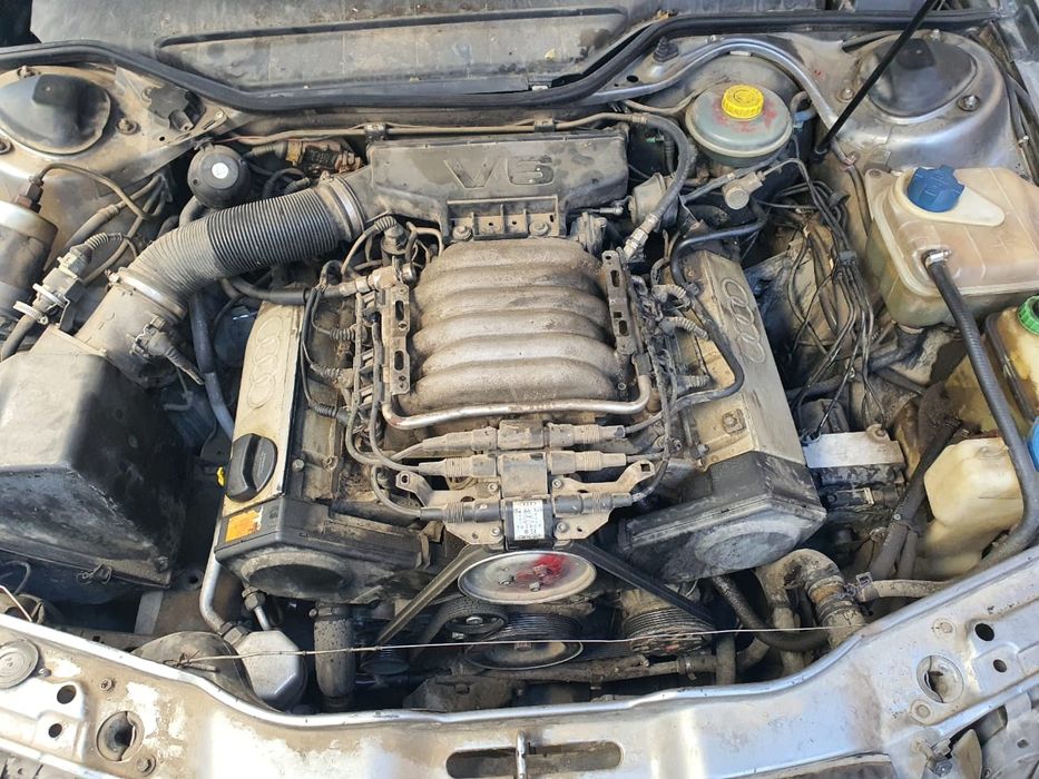 Маторы из европы