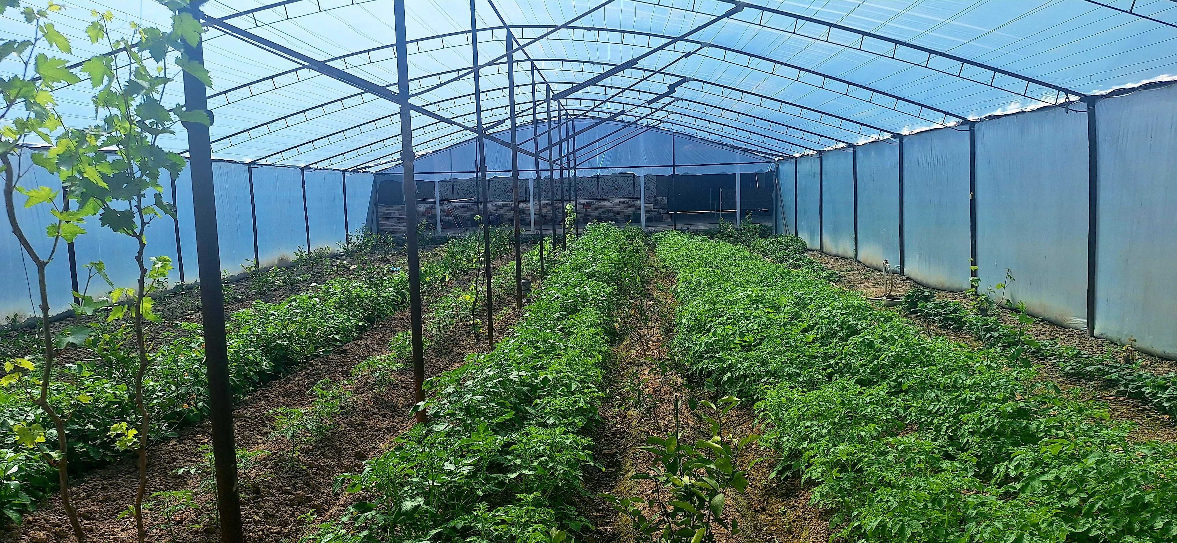 Sirdaryo shahri Agrobank orqasida yangi hovli uy sotiladi.