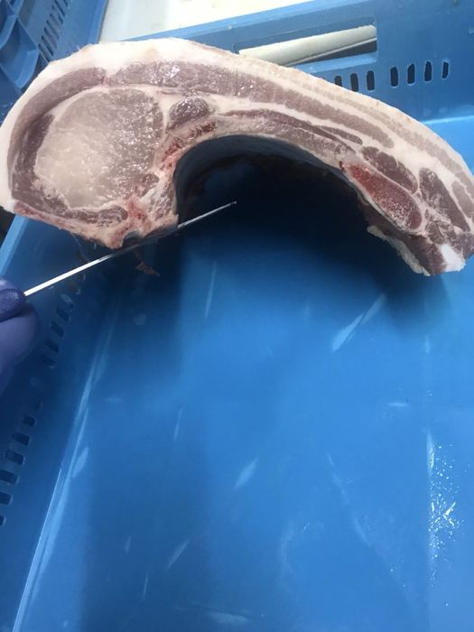 Свинско трупно месо и Пърлена свинска кожа от български прасета