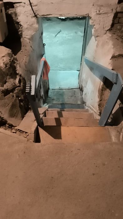 Адам в аренду подвал для выращивания грибов