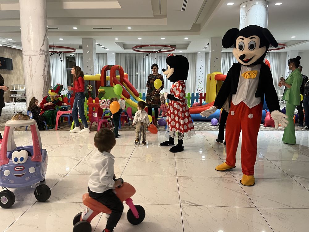 Mascote Mickey și Minnie Mouse Târgu-Jiu