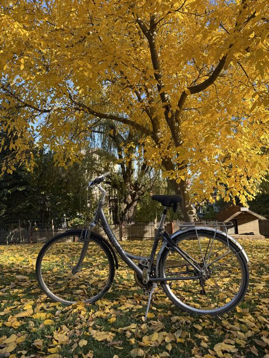 Ретро giant размер L