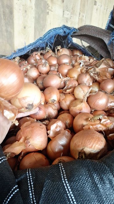Ceapa de vanzare