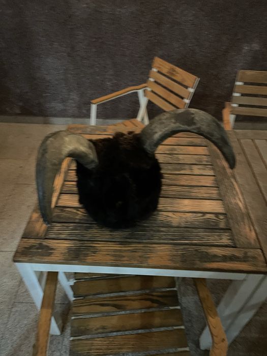 Masca krampus cu coarne de bivol