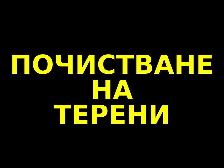 Разчистване на дворове и парцели - Храсти и дървета - Извозване